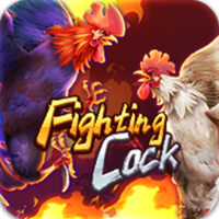 Fighting Cock