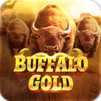 Buffalo Gold