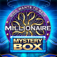 Millionaire Mystery Box