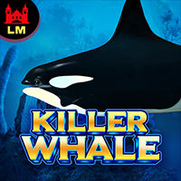 Killer Whale
