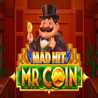 Mad Hit Mr Coin
