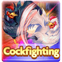 CockFighting