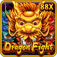 Dragon Fight